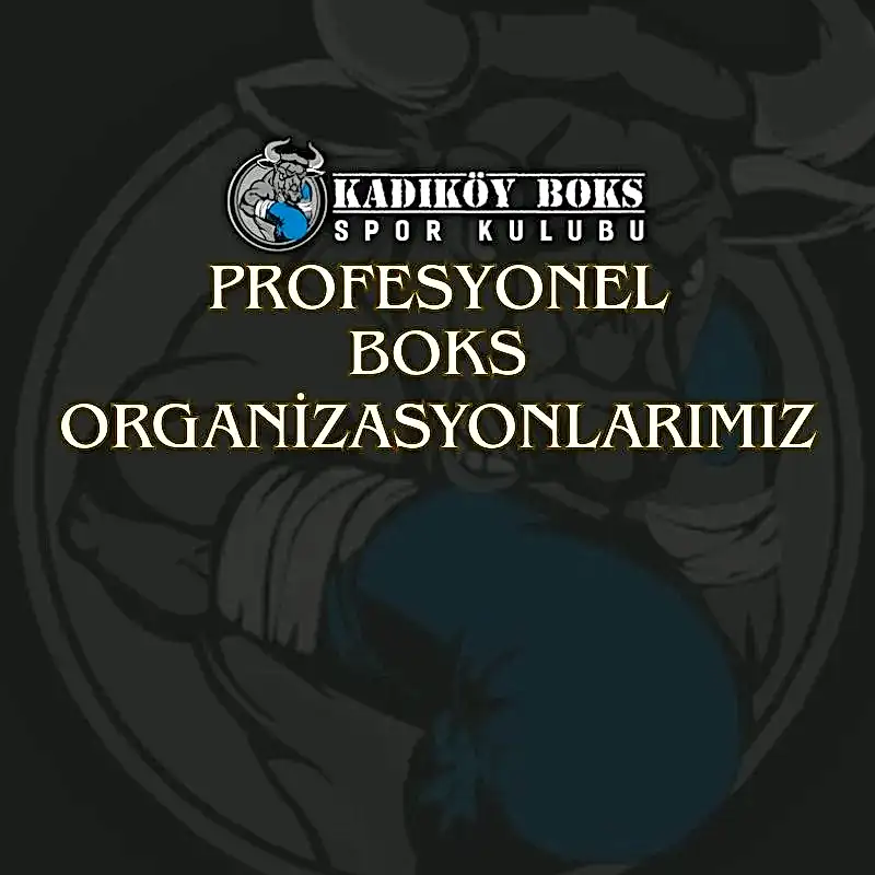 Profesyonel Boks Organizasyonlarımız