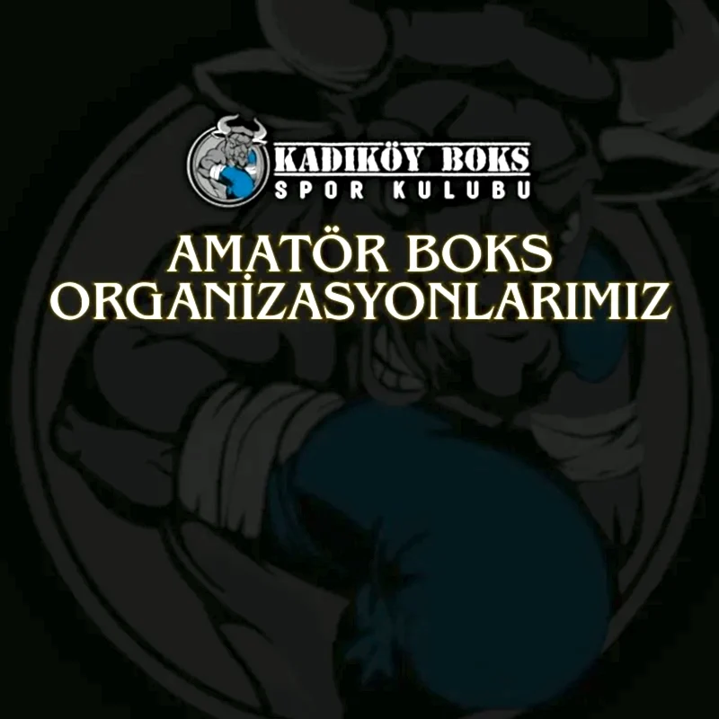 Amatör Boks Organizasyonlarımız